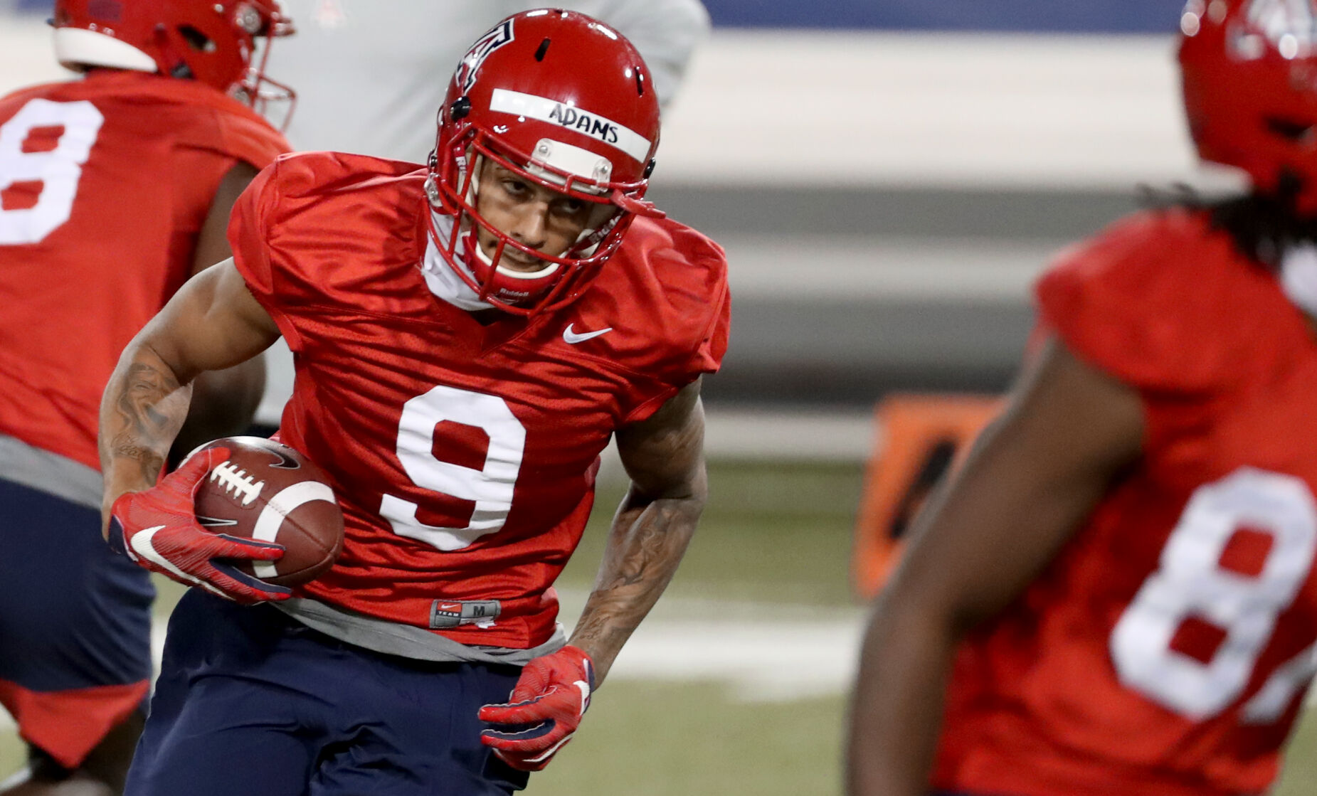Arizona Wildcats